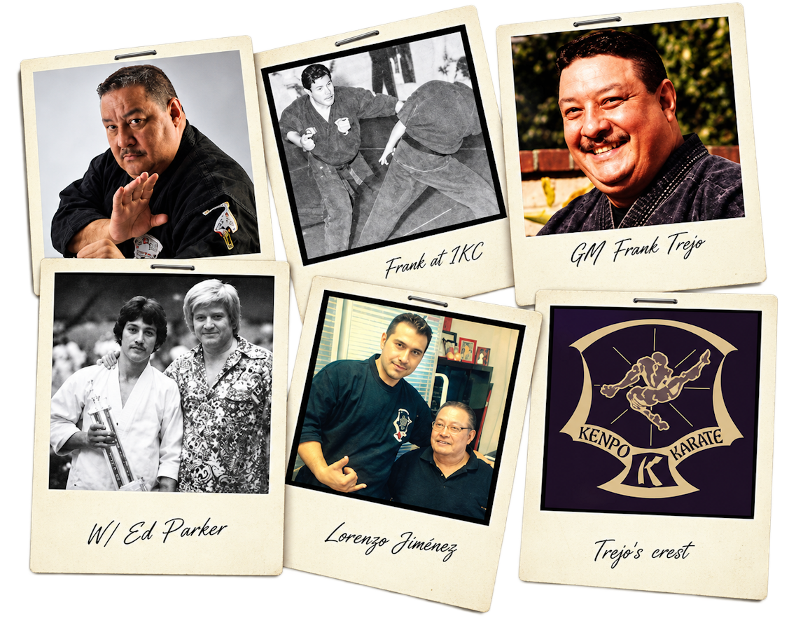 Trayectoria y referencias de American Kenpo Academies